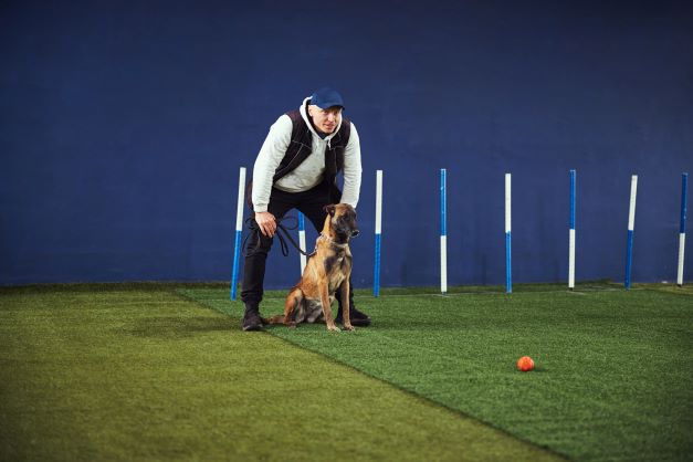 Entrepreneur José Grimberg Blum talks about dogs, food and emotions